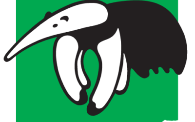 Vacaciones de invierno con Fundación Vida Silvestre Argentina: actividades online y gratuitas para que niños y niñas se diviertan y aprendan sobre la biodiversidad de nuestro país