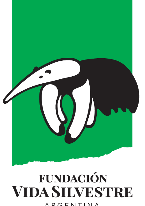Vacaciones de invierno con Fundación Vida Silvestre Argentina: actividades online y gratuitas para que niños y niñas se diviertan y aprendan sobre la biodiversidad de nuestro país