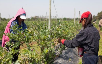 Todos los trabajadores y trabajadoras rurales ya pueden inscribirse en el Programa de Empleo Rural del RENATRE Todos los trabajadores y trabajadoras rurales ya pueden inscribirse en el Programa de Empleo Rural del RENATRE