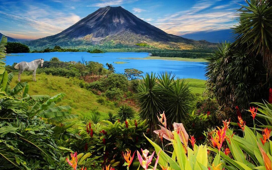 Costa Rica sin apuros: la guía para armar el viaje perfecto, parque a parque