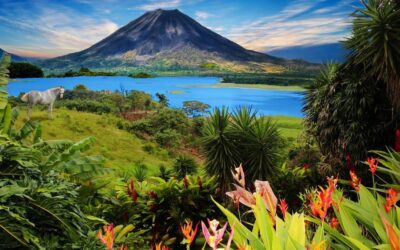 Costa Rica sin apuros: la guía para armar el viaje perfecto, parque a parque