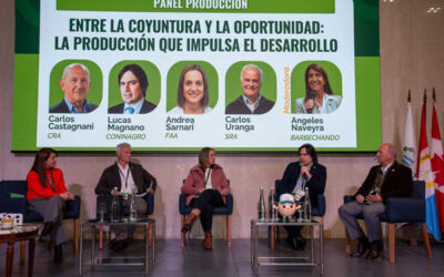 El eslabón de la producción reclamó condiciones para desplegar su potencial: menos presión tributaria, más infraestructura y reglas estables El eslabón de la producción reclamó condiciones para desplegar su potencial: menos presión tributaria, más infraestructura y reglas estables