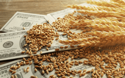 Exportaciones agroindustriales 2026: una mejora extendida, con motores diversos Exportaciones agroindustriales 2026: una mejora extendida, con motores diversos