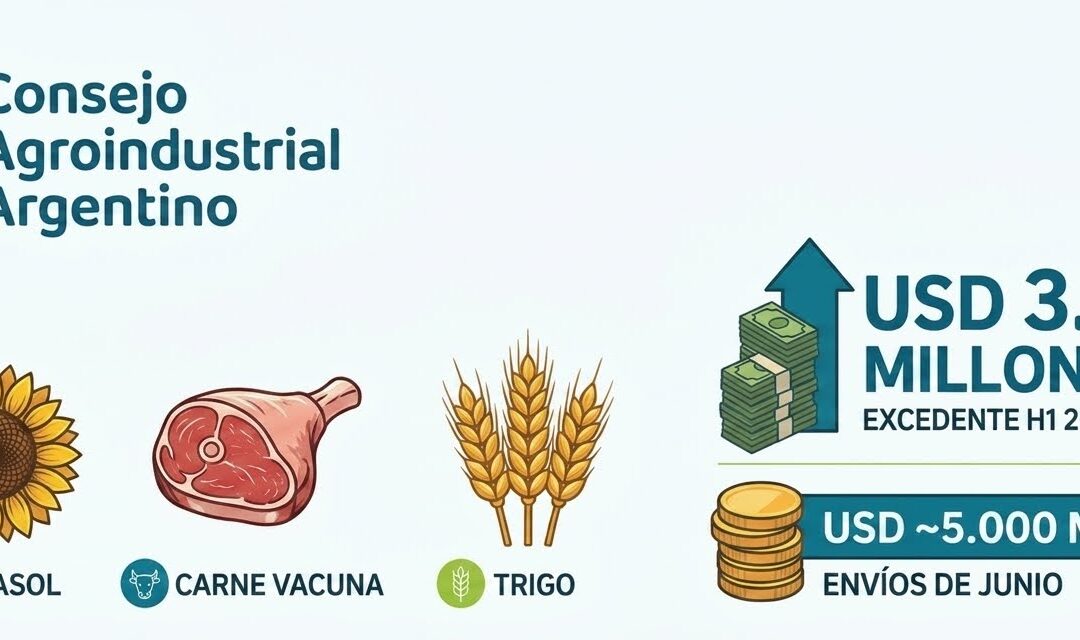 El campo vuelve a traccionar: las exportaciones agroindustriales crecieron un 17,3% en el primer semestre y rozaron los USD 27.000 millones
