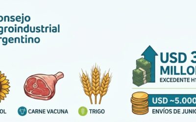 El campo vuelve a traccionar: las exportaciones agroindustriales crecieron un 17,3% en el primer semestre y rozaron los USD 27.000 millones El campo vuelve a traccionar: las exportaciones agroindustriales crecieron un 17,3% en el primer semestre y rozaron los USD 27.000 millones