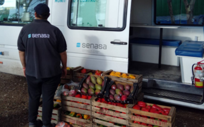 SENASA blindó la Patagonia: casi 85 toneladas de productos en infracción no lograron cruzar la barrera sanitaria SENASA blindó la Patagonia: casi 85 toneladas de productos en infracción no lograron cruzar la barrera sanitaria