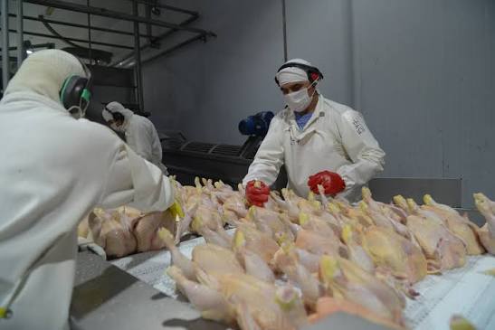 Argentina recupera el mercado europeo para la carne aviar tras superar la influenza aviar