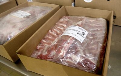 Salto exportador: la carne porcina argentina aumentó un 156,8% en valor Salto exportador: la carne porcina argentina aumentó un 156,8% en valor