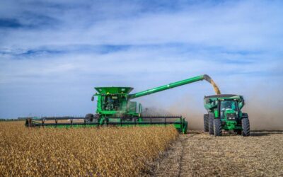 La venta de maquinaria agrícola sufrió un duro frenazo en junio: ¿qué revelan las cifras del sector? La venta de maquinaria agrícola sufrió un duro frenazo en junio: ¿qué revelan las cifras del sector?