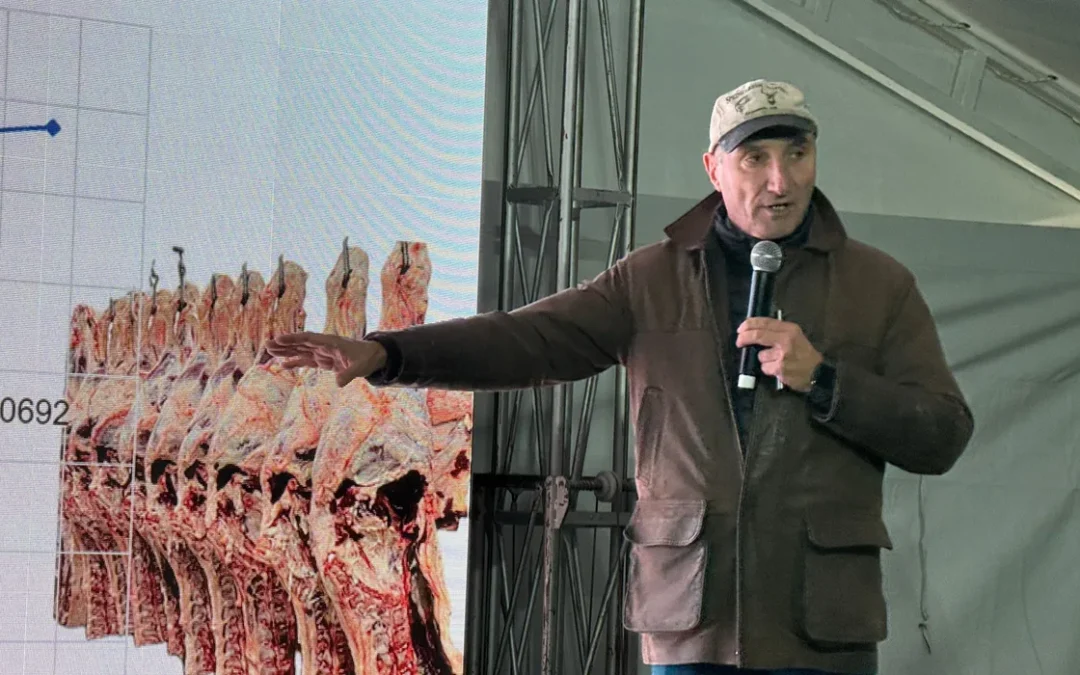 De la genética al pasto: las claves para producir más carne por hectárea