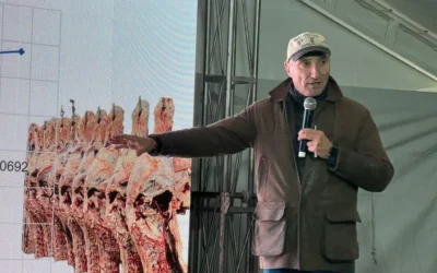 De la genética al pasto: las claves para producir más carne por hectárea De la genética al pasto: las claves para producir más carne por hectárea