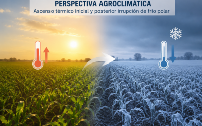 Perspectiva agroclimática: ascenso térmico inicial y posterior irrupción de frío polar Perspectiva agroclimática: ascenso térmico inicial y posterior irrupción de frío polar