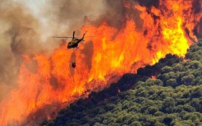 España vive una de las mayores tragedias forestales de los últimos tiempos España vive una de las mayores tragedias forestales de los últimos tiempos
