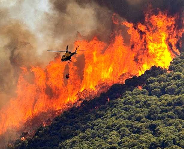 España vive una de las mayores tragedias forestales de los últimos tiempos
