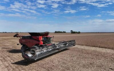 La megacosechadora AF10 de Case IH ya trabaja en Argentina La megacosechadora AF10 de Case IH ya trabaja en Argentina