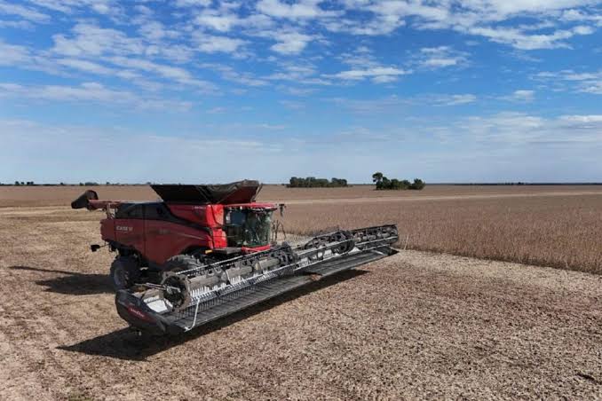 La megacosechadora AF10 de Case IH ya trabaja en Argentina