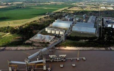 Argentina se ubicó en tercer lugar en capacidad de molienda mundial de soja entre los principales exportadores Argentina se ubicó en tercer lugar en capacidad de molienda mundial de soja entre los principales exportadores