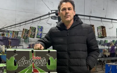 «El que siga haciendo las cosas como hace veinte años va a quedar afuera»: la fruticultura que se reinventa en Allen