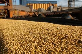 Exportaciones récord de granos y subproductos para el primer semestre de 2026