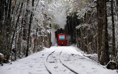 Tren del Fin del Mundo: recorrido, fechas y precios para planificar las vacaciones de invierno 2026 Tren del Fin del Mundo: recorrido, fechas y precios para planificar las vacaciones de invierno 2026