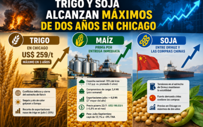 Trigo y soja alcanzan máximos de dos años en Chicago