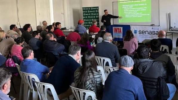 Difusión de medidas sanitarias para la prevención de la triquinosis en distintas regiones del país