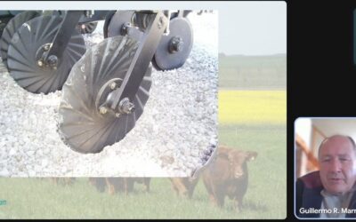 Implantación eficiente de alfalfa: ¿Cómo maximizar el rendimiento? Implantación eficiente de alfalfa: ¿Cómo maximizar el rendimiento?