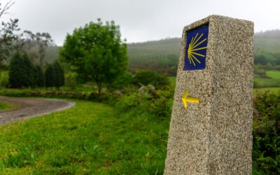 17 rutas del Camino de Santiago para peregrinar hasta la tumba del apóstol que evangelizó la Hispania 17 rutas del Camino de Santiago para peregrinar hasta la tumba del apóstol que evangelizó la Hispania