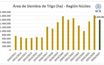 El trigo le ganó al barro: la región núcleo cerró la siembra con 1,6 millones de hectáreas El trigo le ganó al barro: la región núcleo cerró la siembra con 1,6 millones de hectáreas