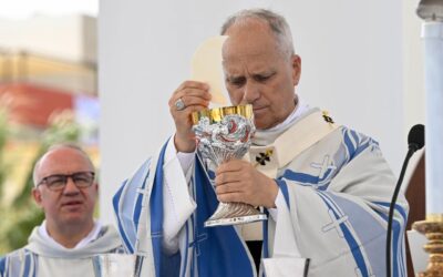 El Papa León XIV invita a rezar por el respeto a la vida en cada una de sus etapas