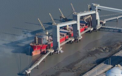 Más de 290 mercados abiertos y reabiertos en el primer semestre de 2026 Más de 290 mercados abiertos y reabiertos en el primer semestre de 2026