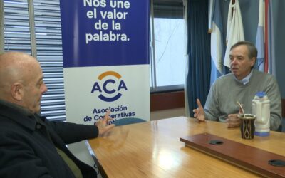 Entre Ríos, la tierra que soñó y logró exportar soja sin modificación genética a Europa Entre Ríos, la tierra que soñó y logró exportar soja sin modificación genética a Europa