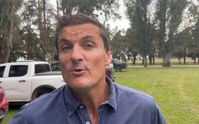 Menos hacienda, mejores precios: en Huinca Renancó vuelve el pulso ganadero