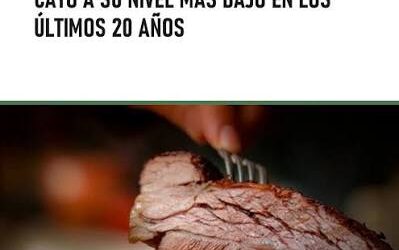No más commodity: la ganadería argentina apuesta a convertirse en un “specialty” de carne baja en carbono No más commodity: la ganadería argentina apuesta a convertirse en un “specialty” de carne baja en carbono