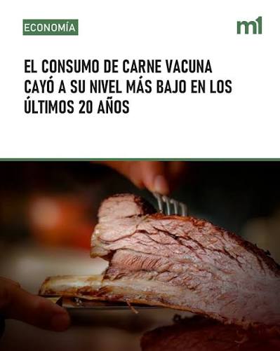 No más commodity: la ganadería argentina apuesta a convertirse en un “specialty” de carne baja en carbono