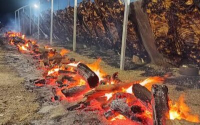 Alvear cumple 157 años y los festeja con un asado gratis para todo el que llegue Alvear cumple 157 años y los festeja con un asado gratis para todo el que llegue