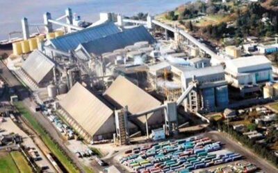 Molinos Agro celebra una década de crecimiento, transformación e innovación Molinos Agro celebra una década de crecimiento, transformación e innovación
