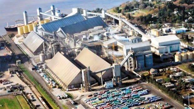Molinos Agro celebra una década de crecimiento, transformación e innovación