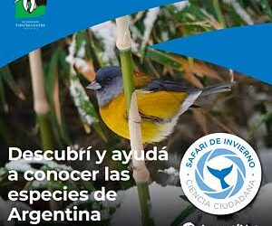 Safari de Invierno 2026: una invitación abierta para descubrir y registrar la naturaleza argentina