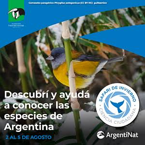 Safari de Invierno 2026: una invitación abierta para descubrir y registrar la naturaleza argentina
