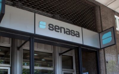 Un paso hacia la simplificación: Senasa eliminó 42 normas de protección vegetal Un paso hacia la simplificación: Senasa eliminó 42 normas de protección vegetal