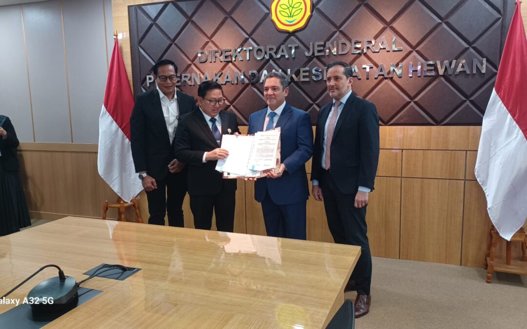 Argentina abrió la exportación a Indonesia de carne bovina y lácteos
