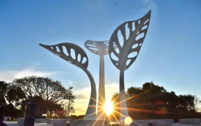 El renacer del monte santiagueño: cómo el Proyecto Tatú transforma el bosque nativo en motor de vida y empleo rural El renacer del monte santiagueño: cómo el Proyecto Tatú transforma el bosque nativo en motor de vida y empleo rural