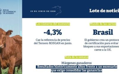 Ganadería: los márgenes siguen en niveles históricos y ahora el desafío es cuidar lo ganado Ganadería: los márgenes siguen en niveles históricos y ahora el desafío es cuidar lo ganado