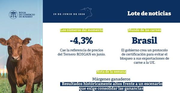 Ganadería: los márgenes siguen en niveles históricos y ahora el desafío es cuidar lo ganado