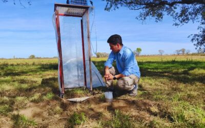 El suelo semiárido pierde hasta siete veces más tierra cuando se agota su carbono orgánico El suelo semiárido pierde hasta siete veces más tierra cuando se agota su carbono orgánico