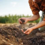La tierra se agota y la industria alimentaria reacciona: por qué cada vez más empresas apuestan por la agricultura regenerativa