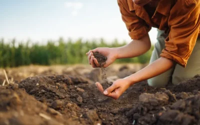 La tierra se agota y la industria alimentaria reacciona: por qué cada vez más empresas apuestan por la agricultura regenerativa