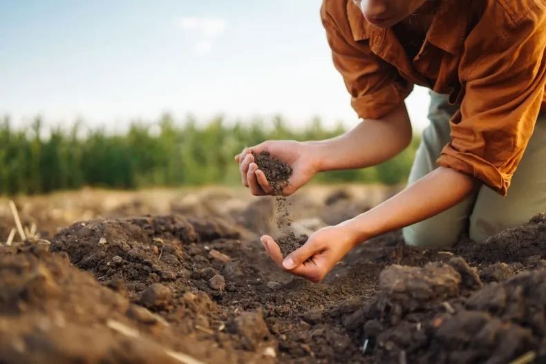 La tierra se agota y la industria alimentaria reacciona: por qué cada vez más empresas apuestan por la agricultura regenerativa