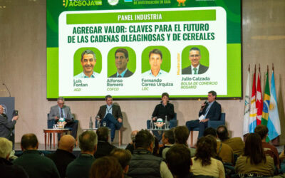 La industria aceitera pide profundizar las reformas para recuperar la competitividad de la soja argentina La industria aceitera pide profundizar las reformas para recuperar la competitividad de la soja argentina
